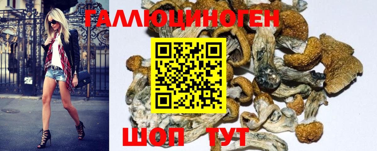 Псилоцибиновые грибы MAGIC MUSHROOMS Боровичи